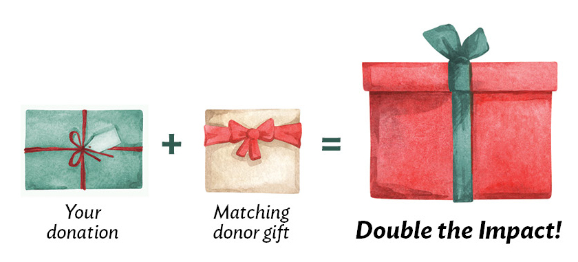 Matching Gift equation image